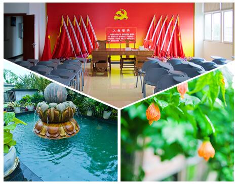 1552559929309484.jpg 1.jpg